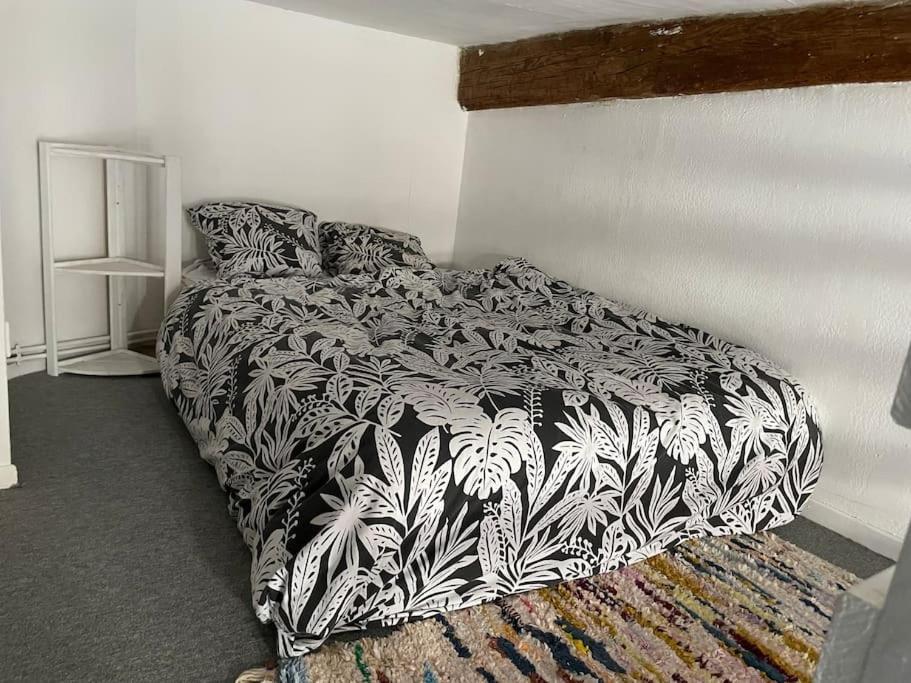 Appartement De Caractere Au Coeur Du Centre-Ville Montpellier Eksteriør bilde